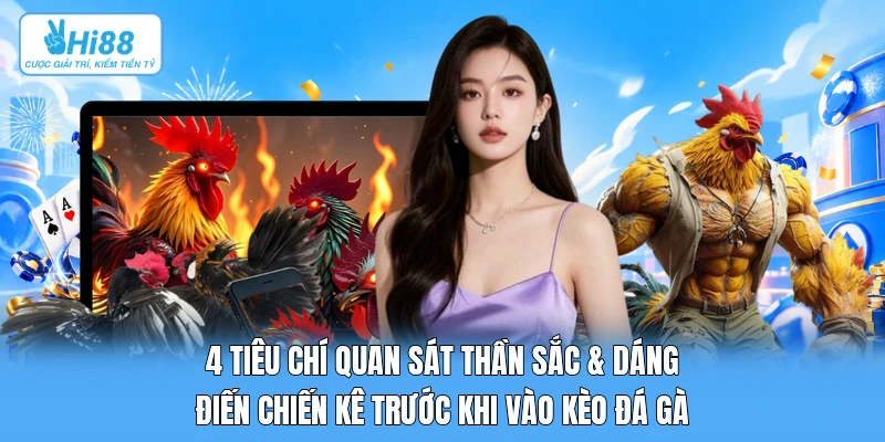 4 Tiêu Chí Quan Sát Thần Sắc & Dáng Điến Chiến Kê Trước Khi Vào Kèo Đá Gà 4 Tiêu Chí Quan Sát Thần Sắc & Dáng Điến Chiến Kê Trước Khi Vào Kèo Đá Gà