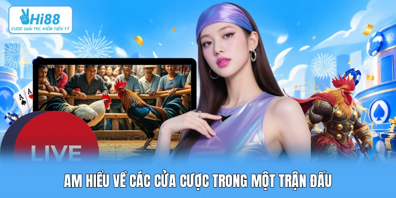 Trường Đấu Thomo: Phát Sóng Trực Tiếp Đá Gà & Chuẩn Mực Quốc Tế Am hiểu về các cửa cược trong một trận đấu