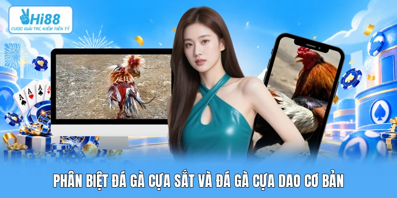 Phân Biệt Đá Gà Cựa Sắt Và Đá Gà Cựa Dao: Cơ Học Va Chạm, Sát Thương & Chiến Lược Cược Phân biệt đá gà cựa sắt và đá gà cựa dao cơ bản