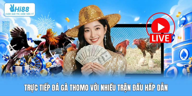 Trường Đấu Thomo: Phát Sóng Trực Tiếp Đá Gà & Chuẩn Mực Quốc Tế Trực tiếp đá gà Thomo với nhiều trận đấu hấp dẫn